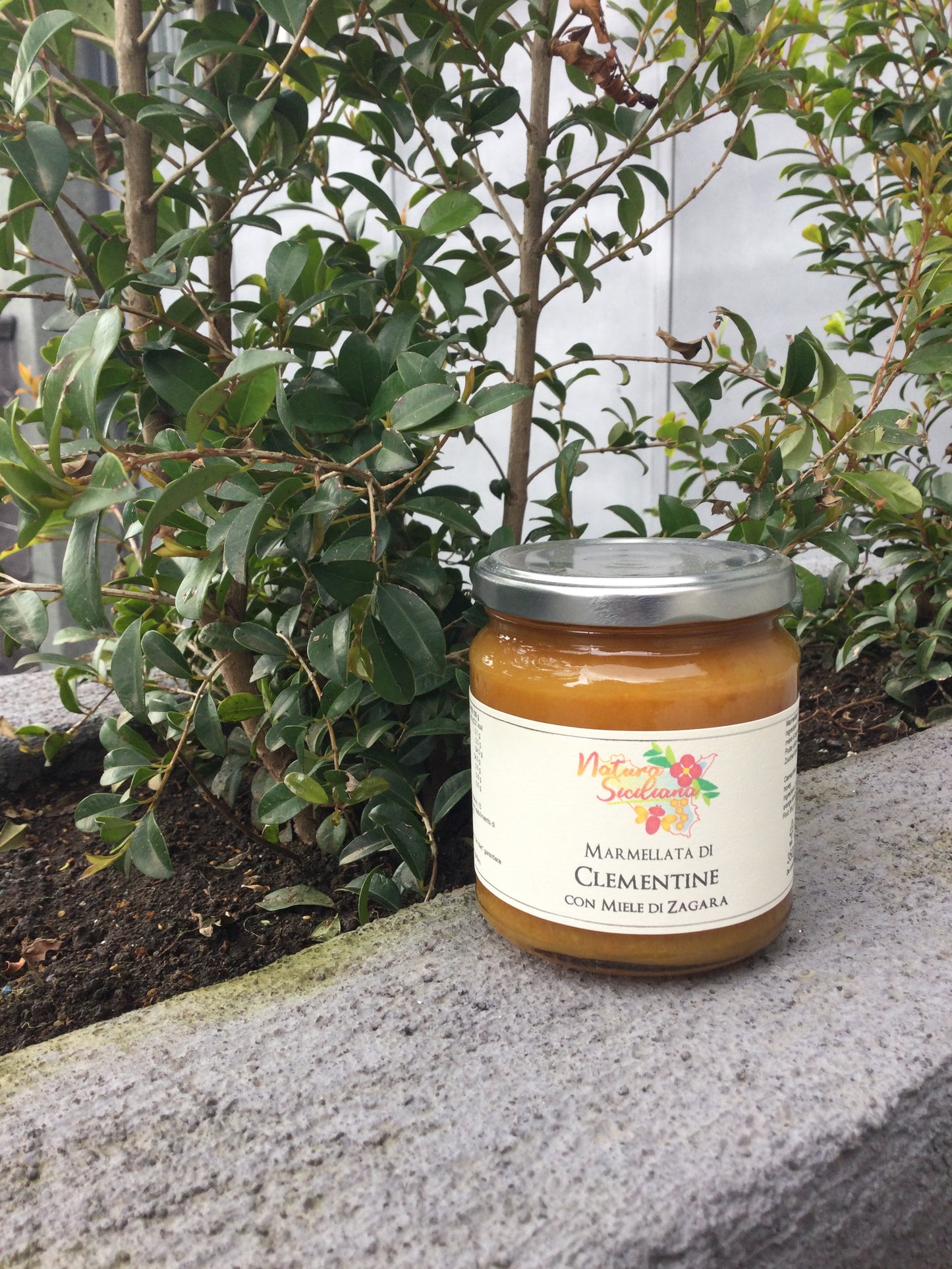 Clementine con miele di zagara
