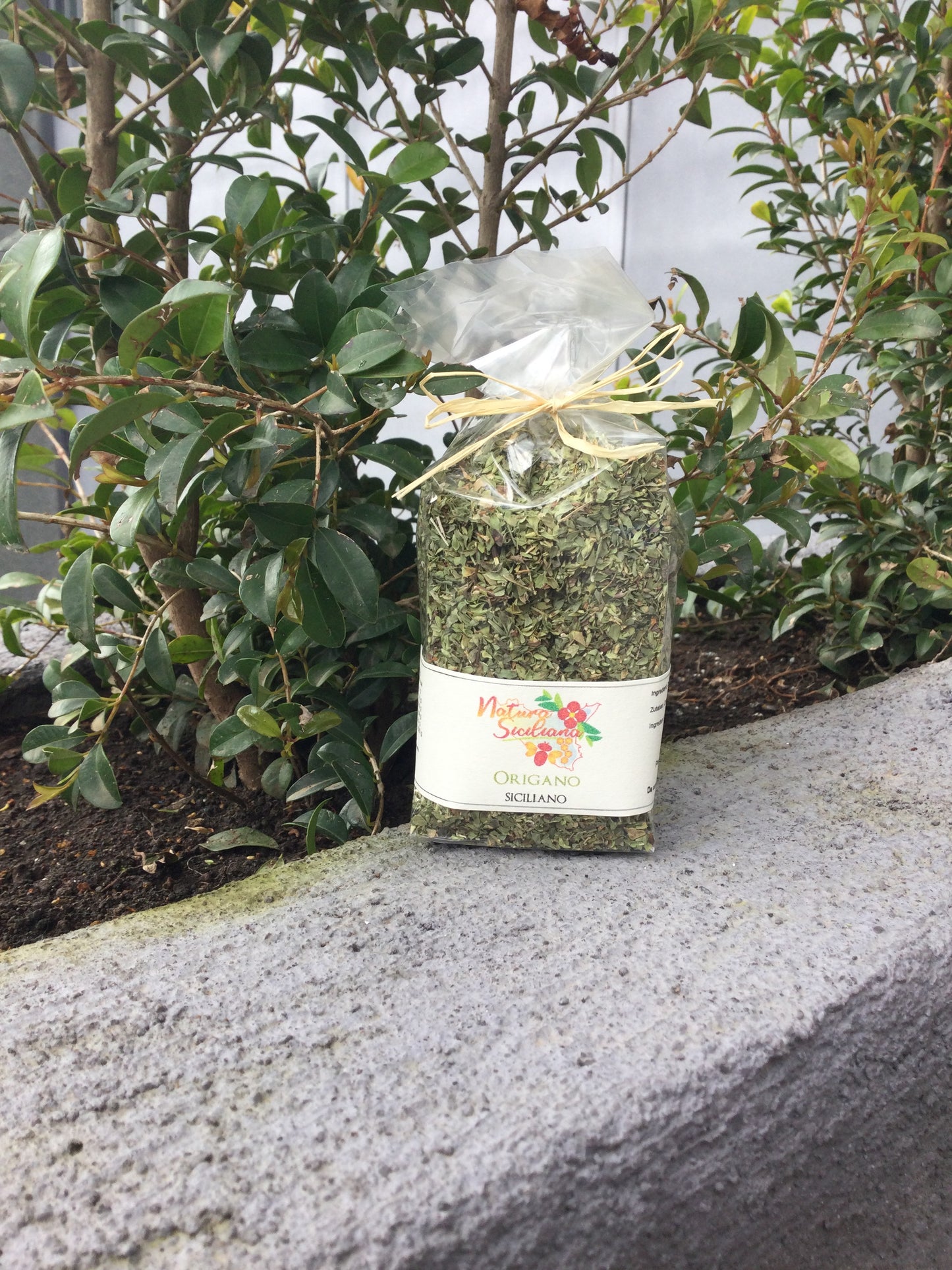 Origano siciliano