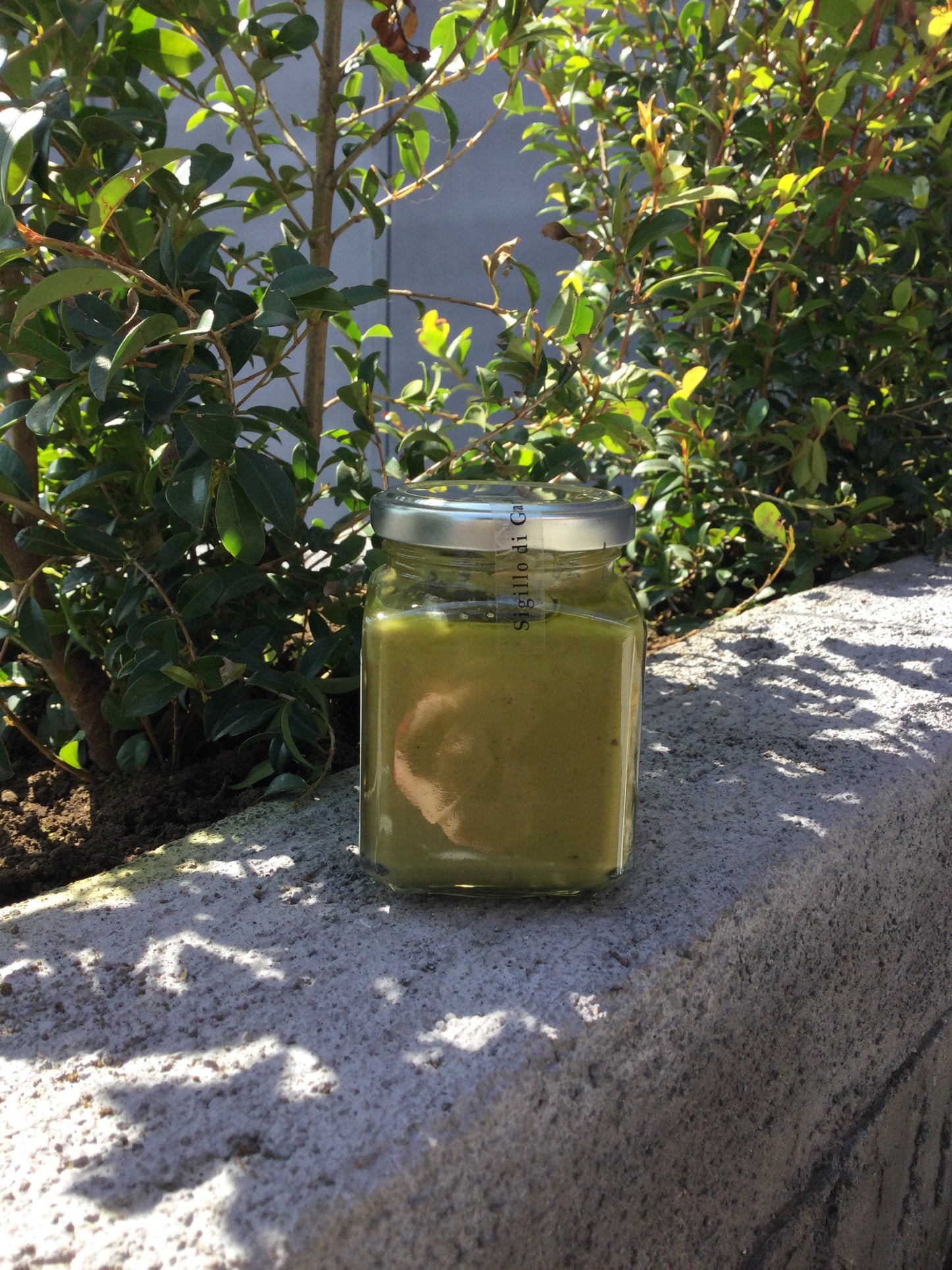 Crema di pistacchio