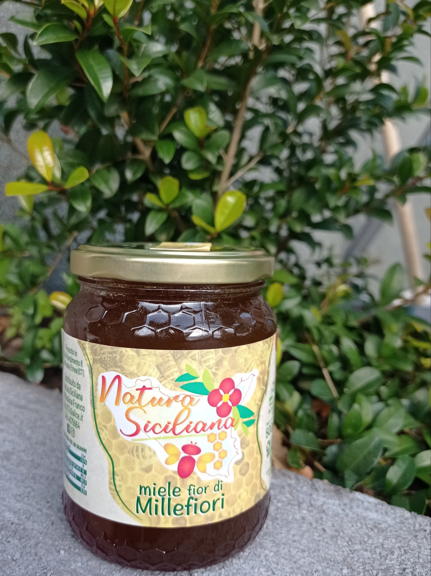 Miele di millefiori